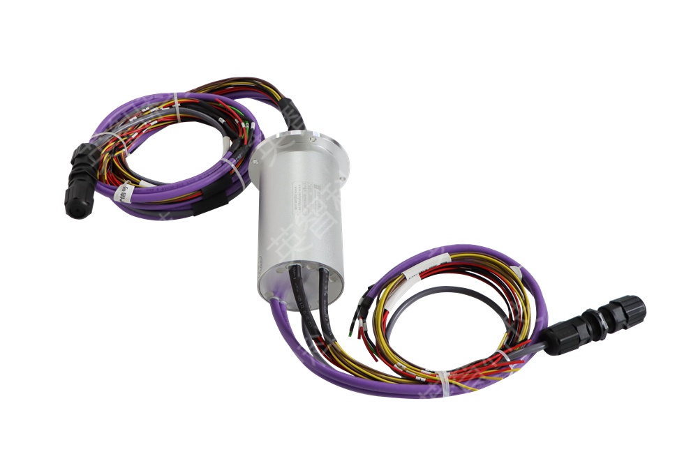 导电蜜桃成人无码区免费视频网站